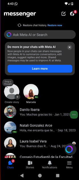 Pantalla 8 - Chat Individual